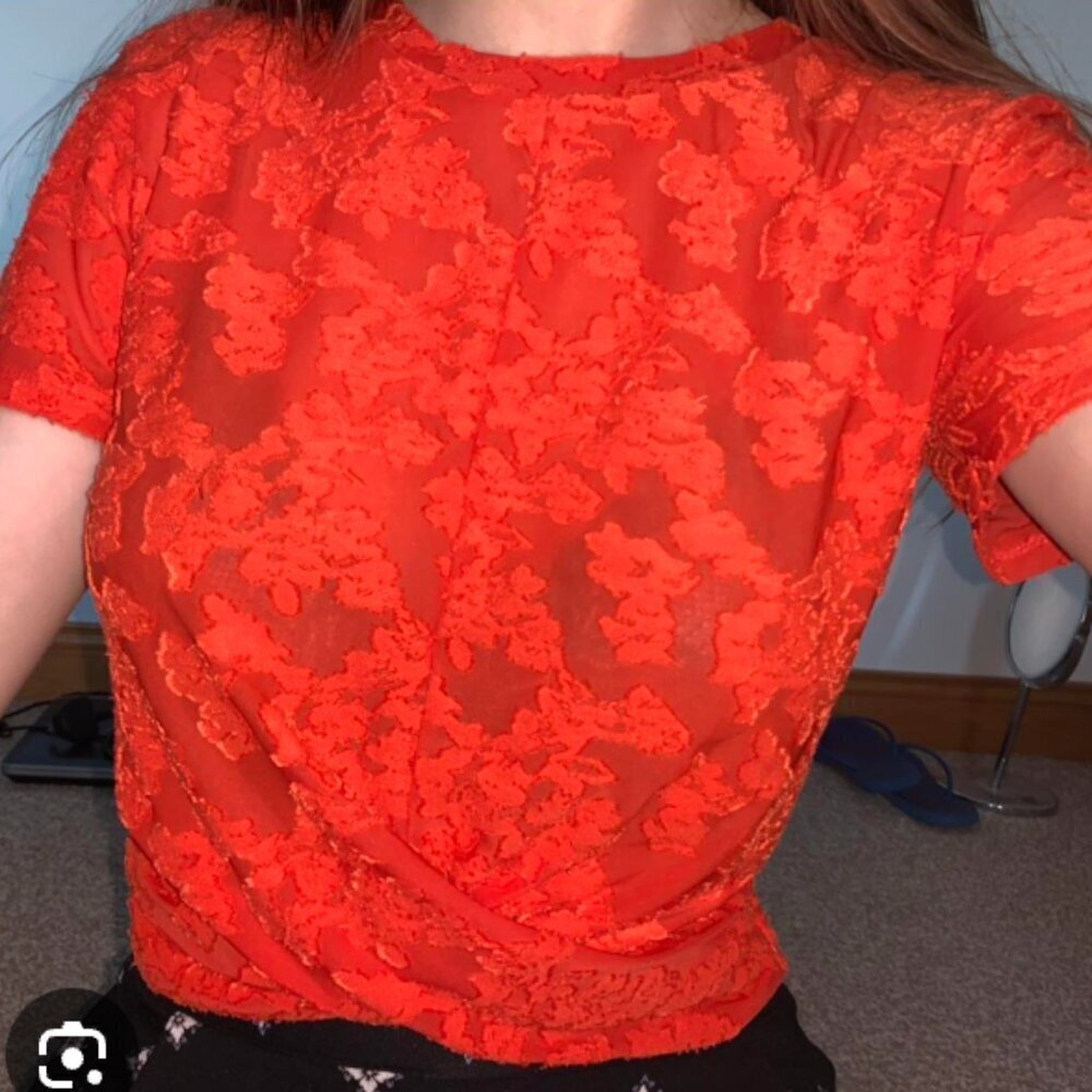 Zara Medium Poppy Floral Peek-A-Boo Sheer Crop Top​​​